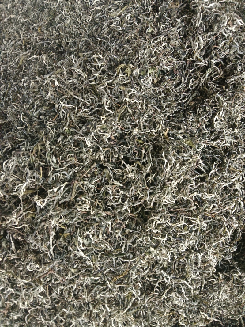 广西高山云雾茶
