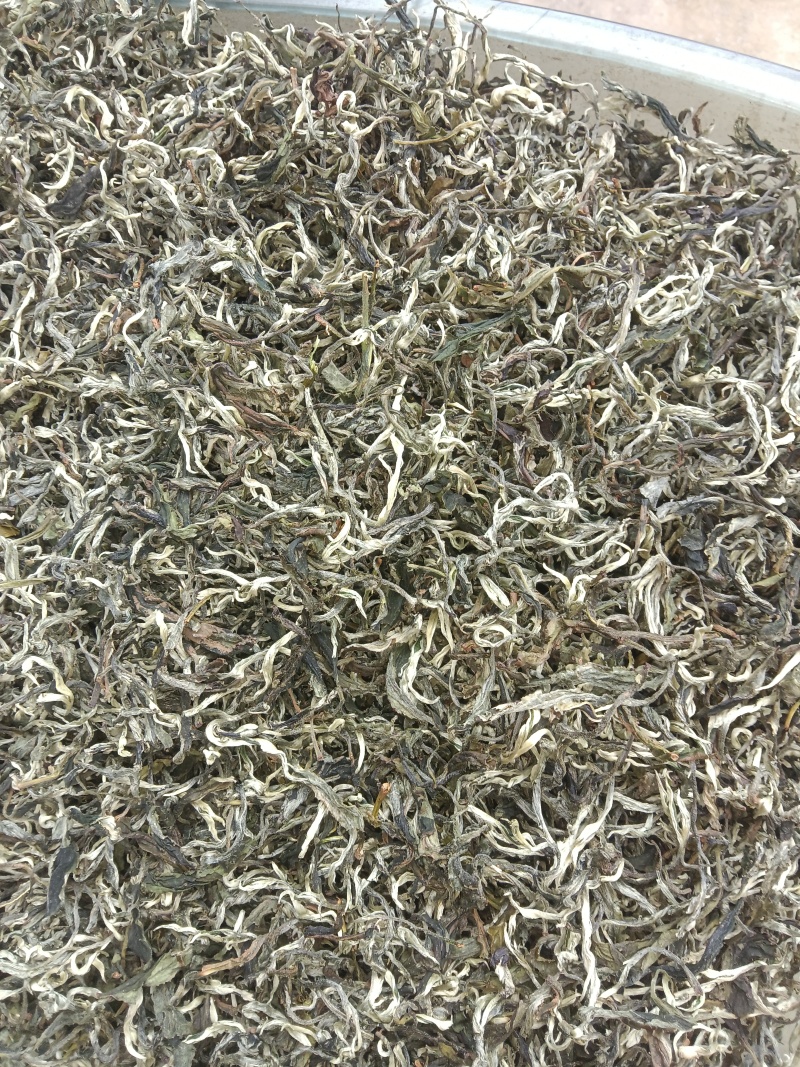 广西高山云雾茶