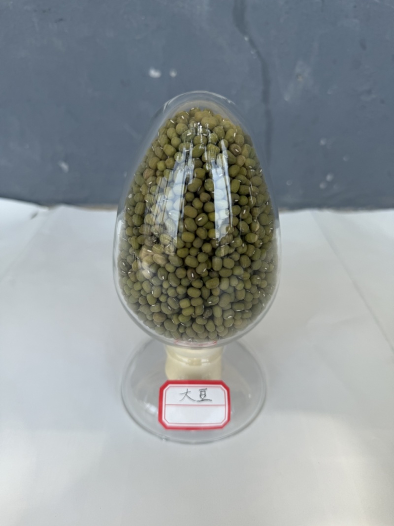 精品毛绿豆全国可发对接全国各地采购商欢迎电话质询
