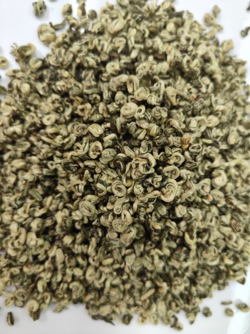 云南普洱单芽碧螺春特级嫩芽散装产地直供