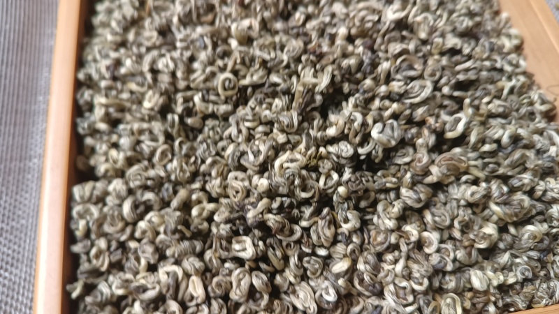 云南普洱单芽碧螺春特级嫩芽散装产地直供