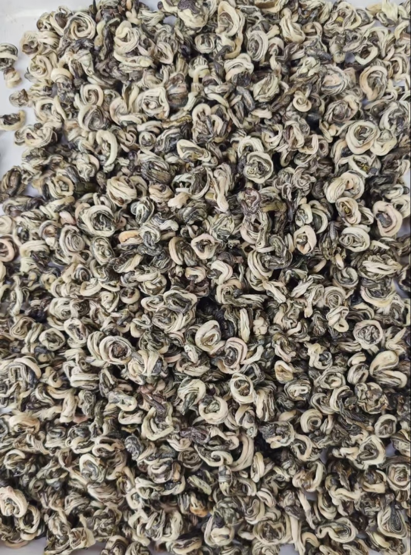 云南普洱单芽碧螺春特级嫩芽散装产地直供