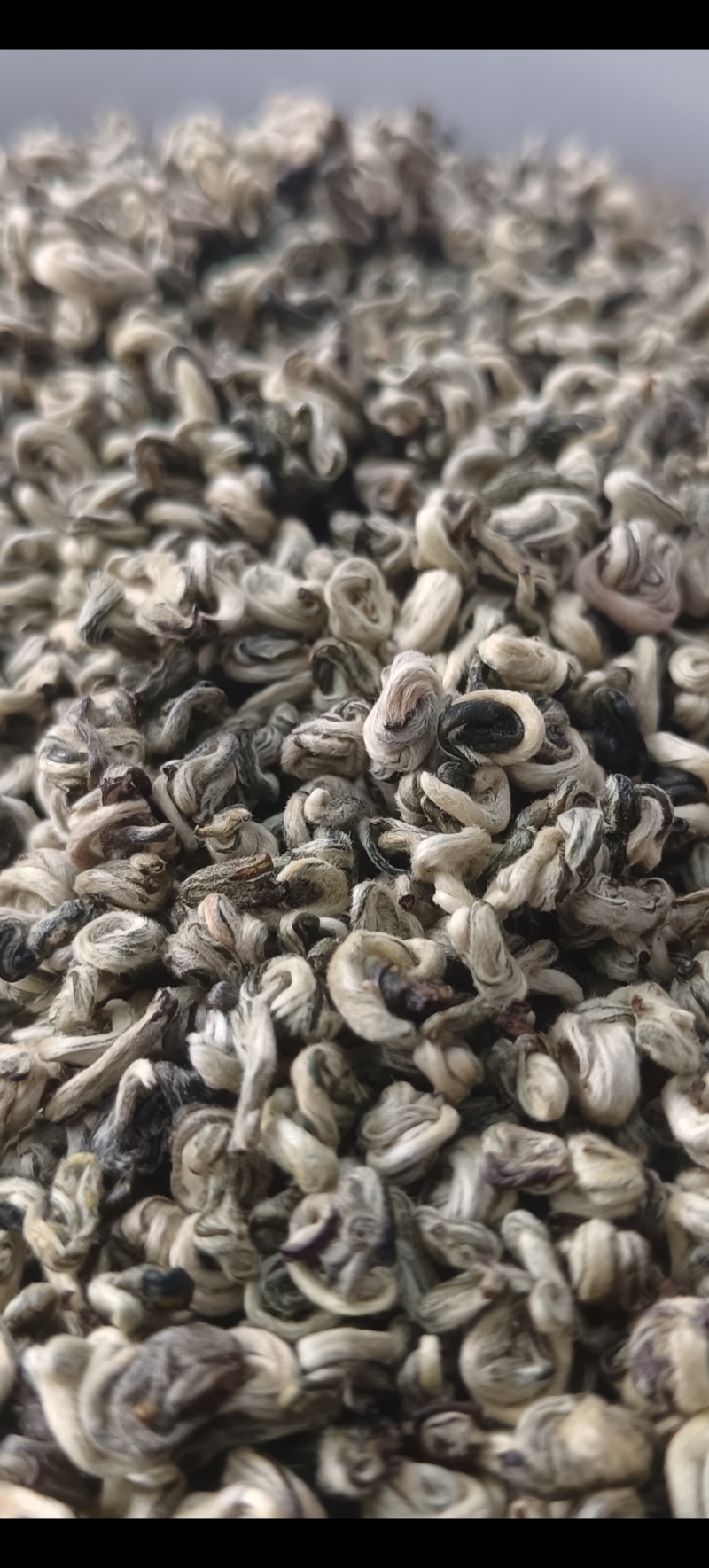 云南普洱单芽碧螺春特级嫩芽散装产地直供