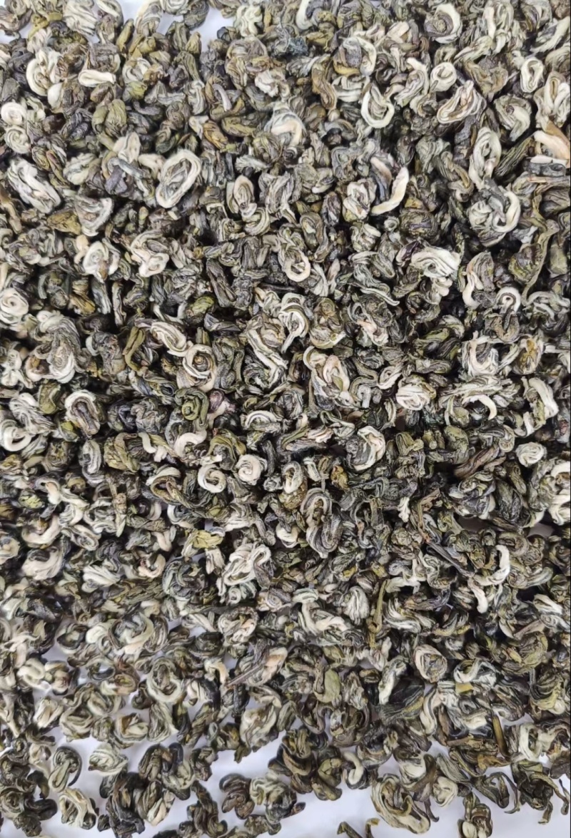 云南普洱单芽碧螺春特级嫩芽散装产地直供