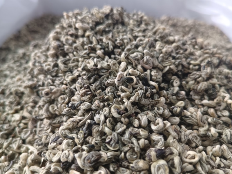 云南普洱单芽碧螺春特级嫩芽散装产地直供