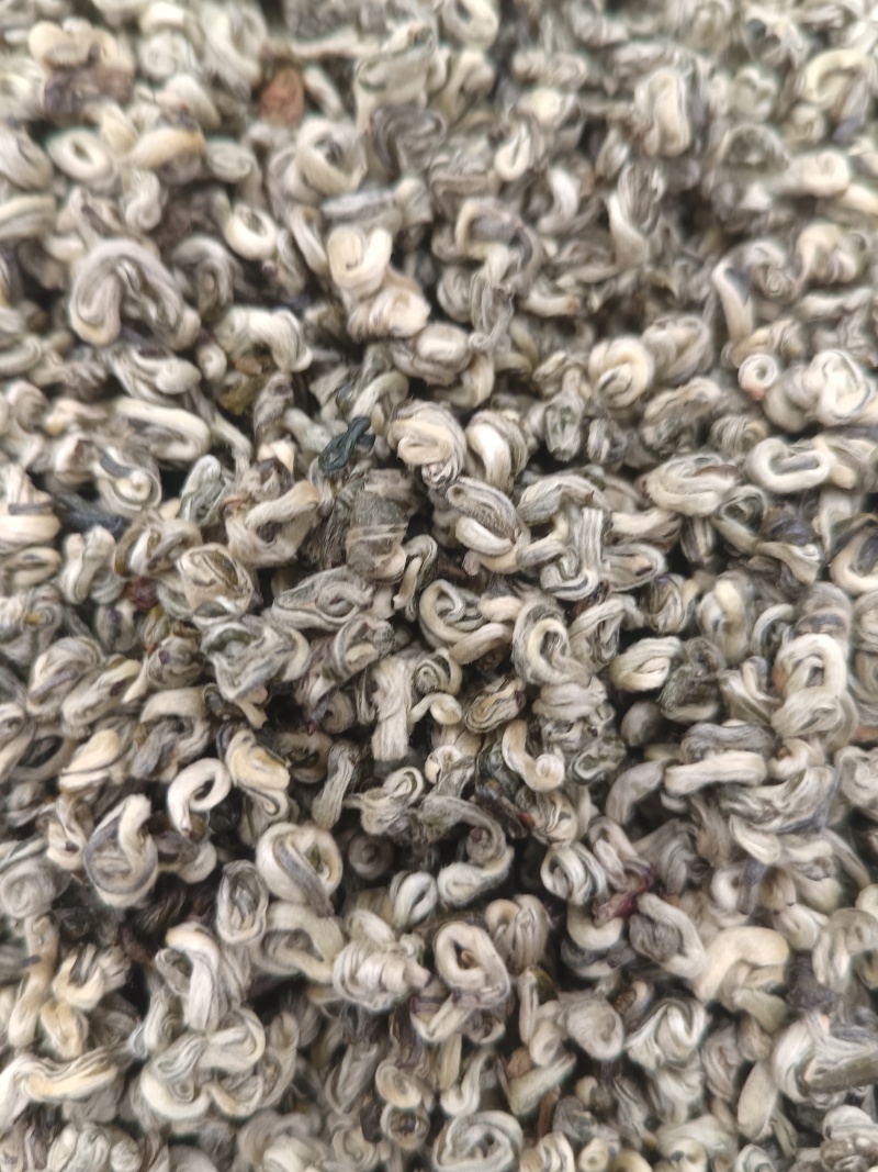 云南普洱单芽碧螺春特级嫩芽散装产地直供