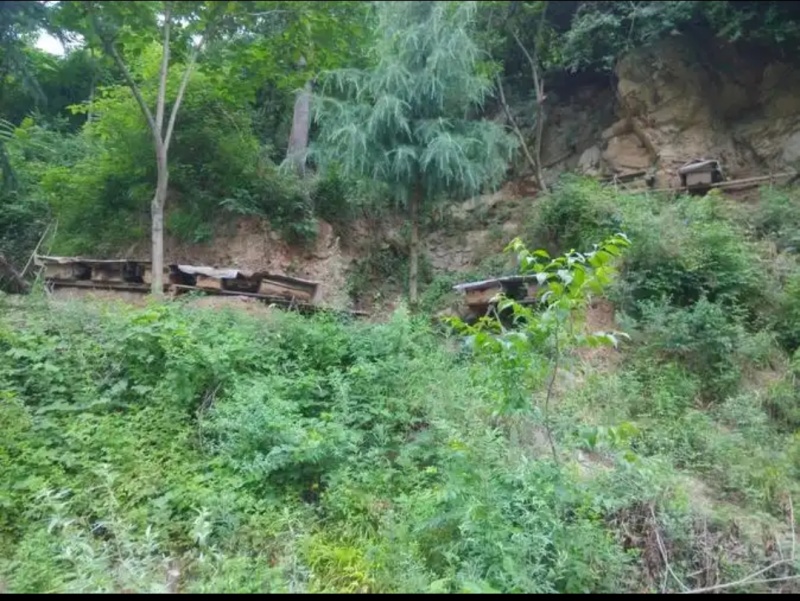 中华土蜂蜜