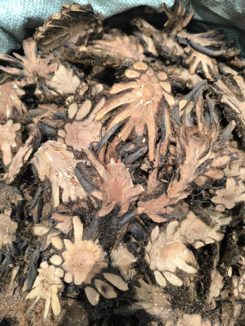 贯众中药材贯众优选选货常年加工批发价格