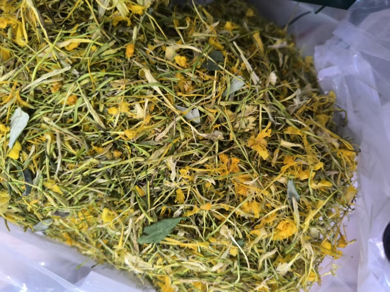 【实力】安徽精品五彩花，优质五彩花，货量充足，欢迎选购