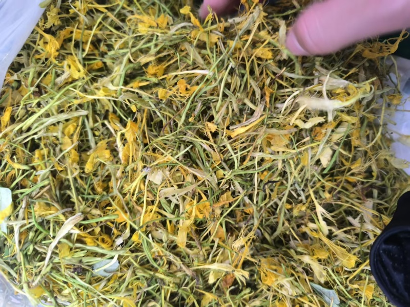 【实力】安徽精品五彩花，优质五彩花，货量充足，欢迎选购