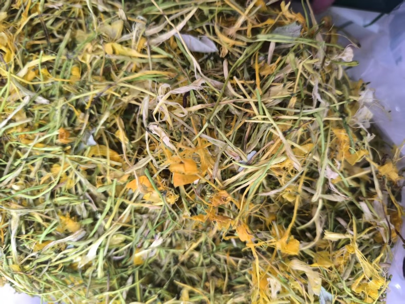 【实力】安徽精品五彩花，优质五彩花，货量充足，欢迎选购