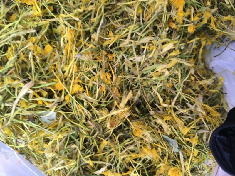 【实力】安徽精品五彩花，优质五彩花，货量充足，欢迎选购