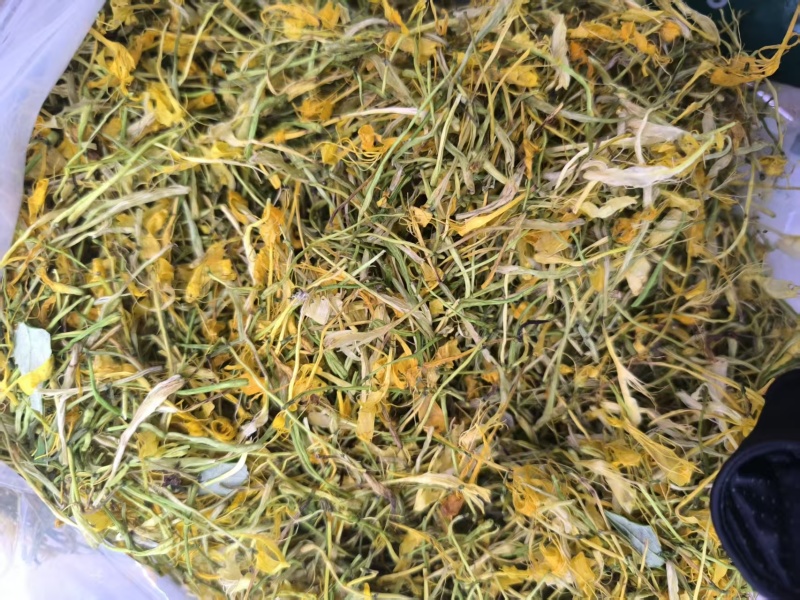 【实力】安徽精品五彩花，优质五彩花，货量充足，欢迎选购