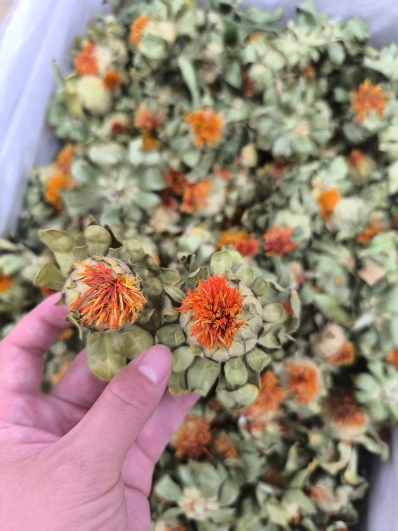 【实力】安徽优质红花果，精品红花，量大从优，欢迎电话联系