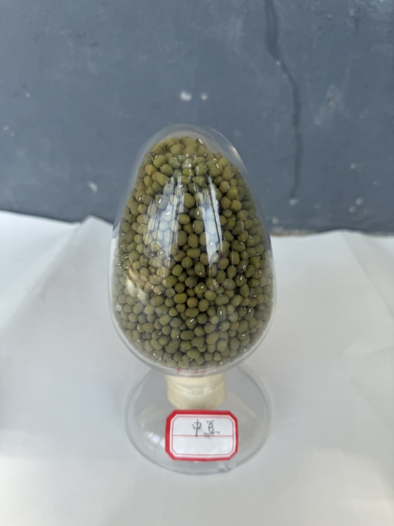 精品毛绿豆量大质优全国可发欢迎各地客商电话咨询
