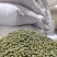 精品毛绿豆量大质优全国可发欢迎各地客商电话咨询