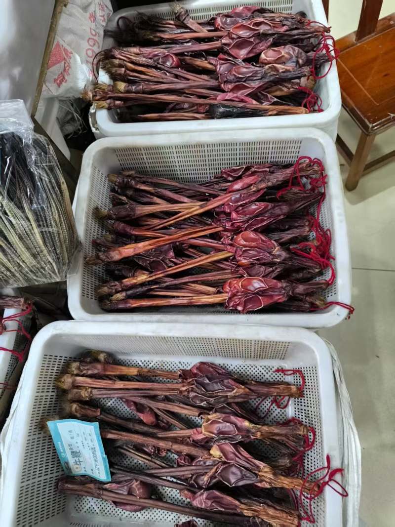 牛鞭鞭中药材牛鞭泡酒优质牛鞭干净现货