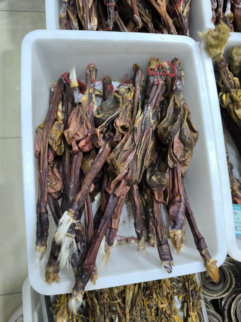 牛鞭鞭中药材牛鞭泡酒优质牛鞭干净现货