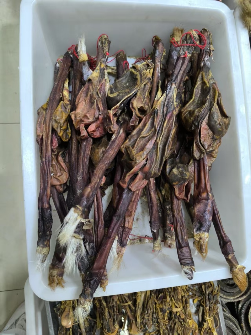 牛鞭鞭中药材牛鞭泡酒优质牛鞭干净现货