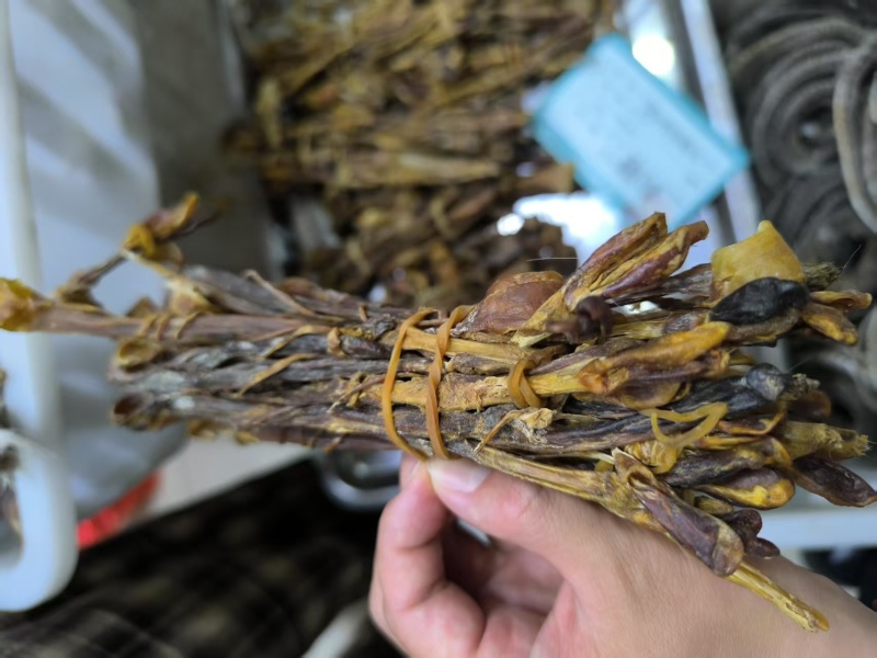 狗鞭鞭中药材狗鞭泡酒优质干净优质狗鞭现货