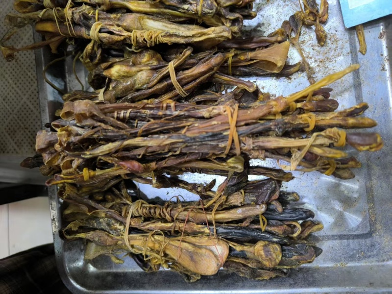 狗鞭鞭中药材狗鞭泡酒优质干净优质狗鞭现货