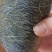 猪宝现货出售