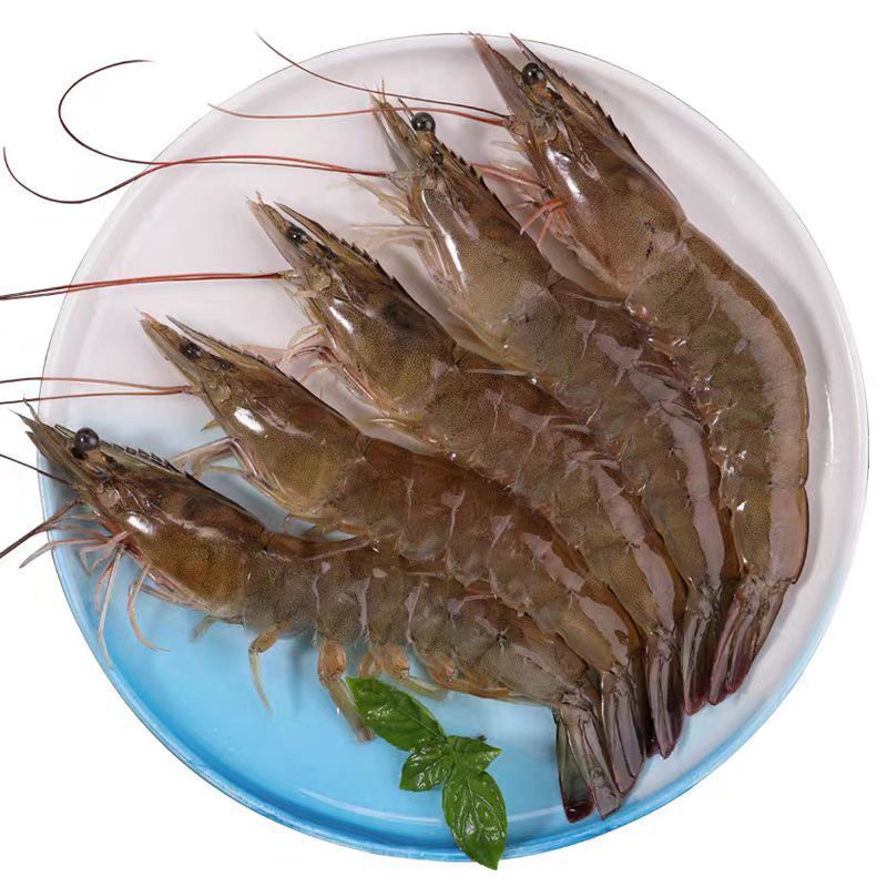 王牌盐冻大虾3斤包邮
