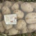 沃土，实验1土豆荷兰15己上市500亩土豆请联系。