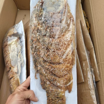 油炸大鲤鱼现货供应