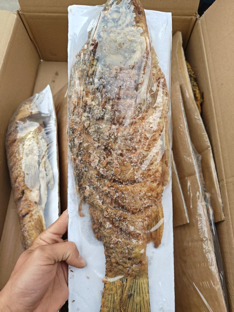 油炸大鲤鱼现货供应
