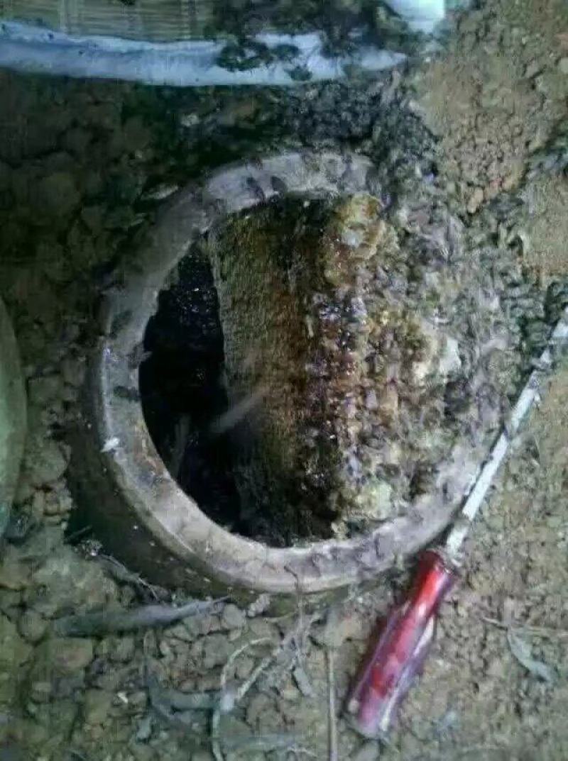 大深山纯野生百花蜂蜜有检测报告，假一赔十，非成信者忽扰！