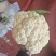 白面青梗松花菜货源充足量大从优可视频看货