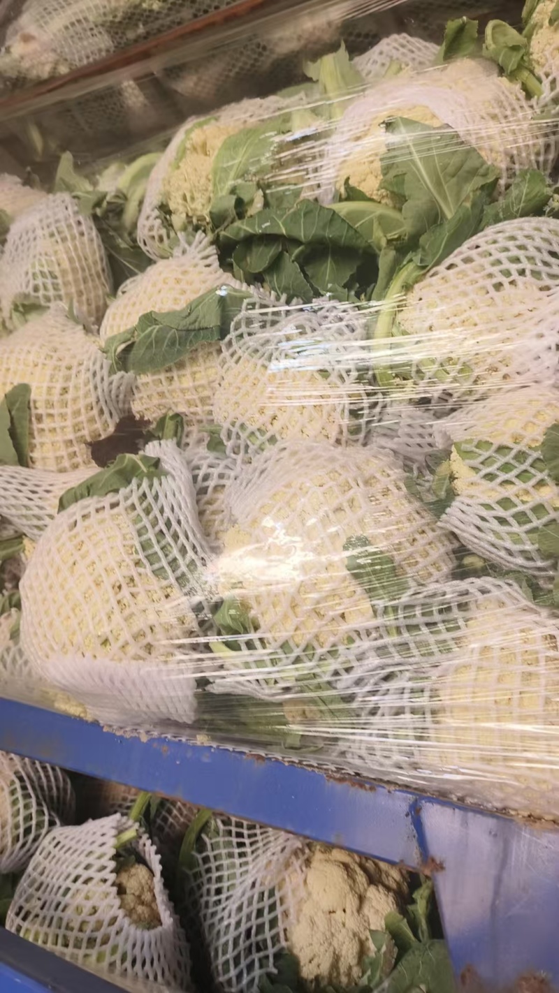 白面青梗松花菜货源充足量大从优可视频看货