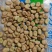【量大优惠】云南昆明蚕豆品质保障对接全国批发电商