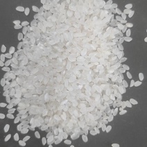 珍珠米，一级珍珠米，产地黑龙江，质优价美，欢迎洽谈