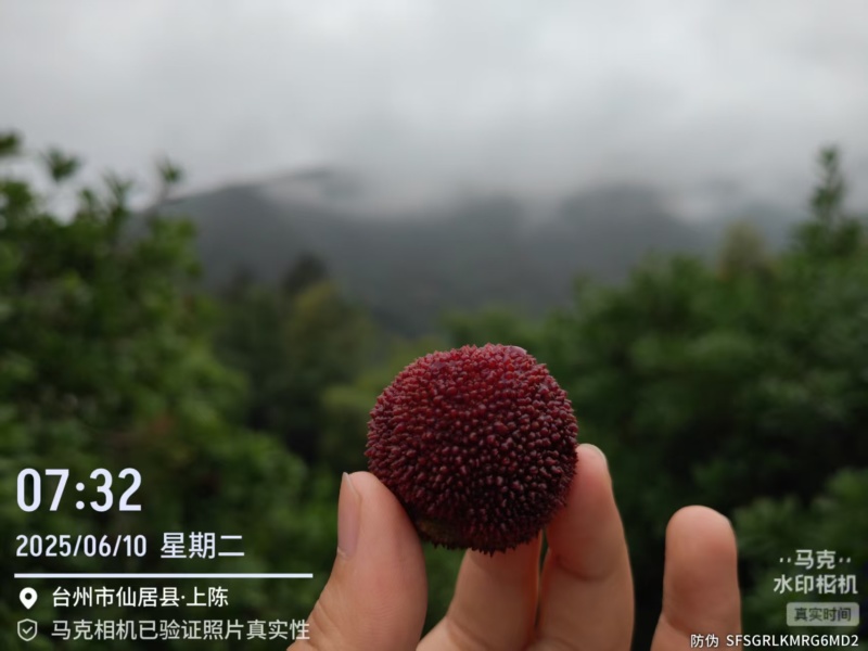 一件代发，也快包车去拉，仙居本地
