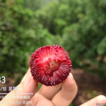 一件代发，也快包车去拉，仙居本地