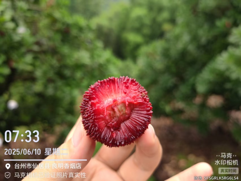 一件代发，也快包车去拉，仙居本地