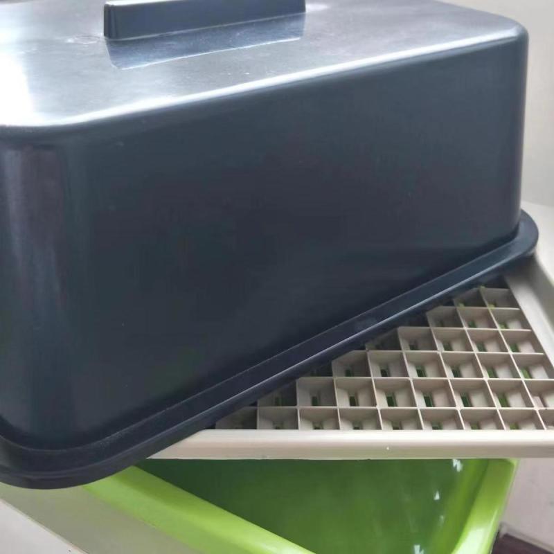 家庭版芽苗菜种植工具无土栽培加高款水培工具