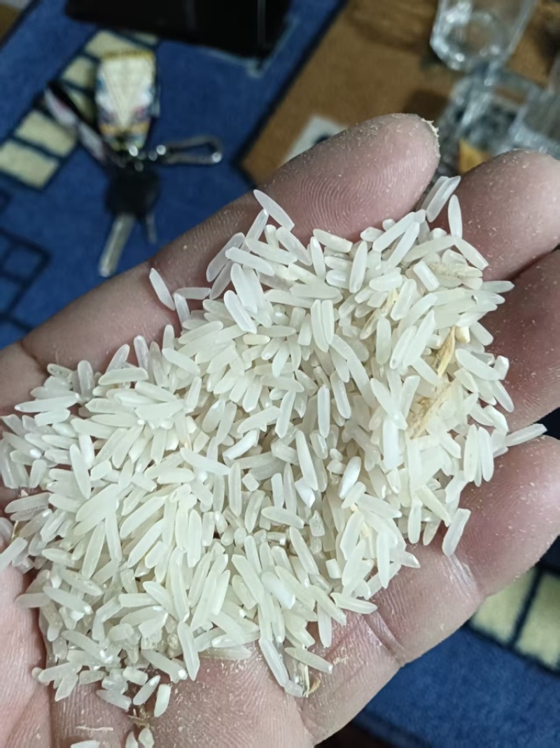 杂交稻谷，湖南稻谷，量大从优，对接全国市场