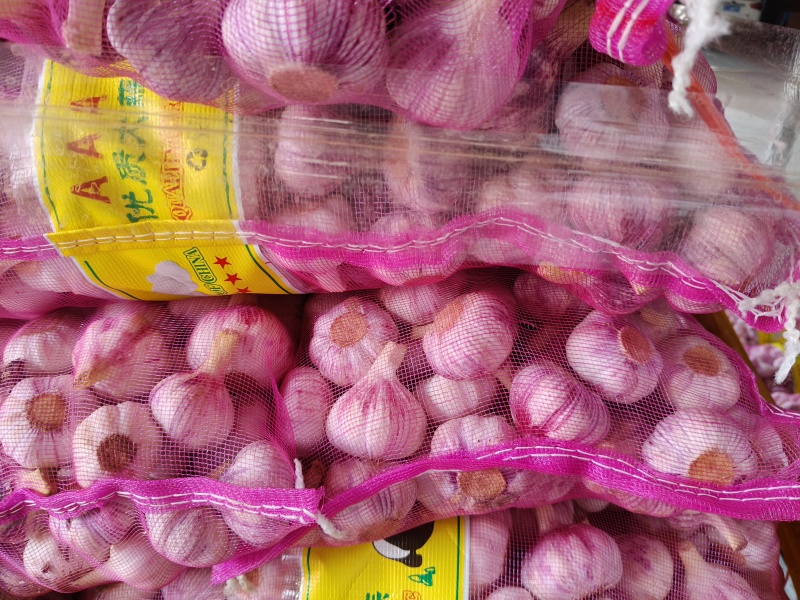 紫皮大蒜，精品净蒜，毛蒜，量大。产地货源充足，真诚服务。