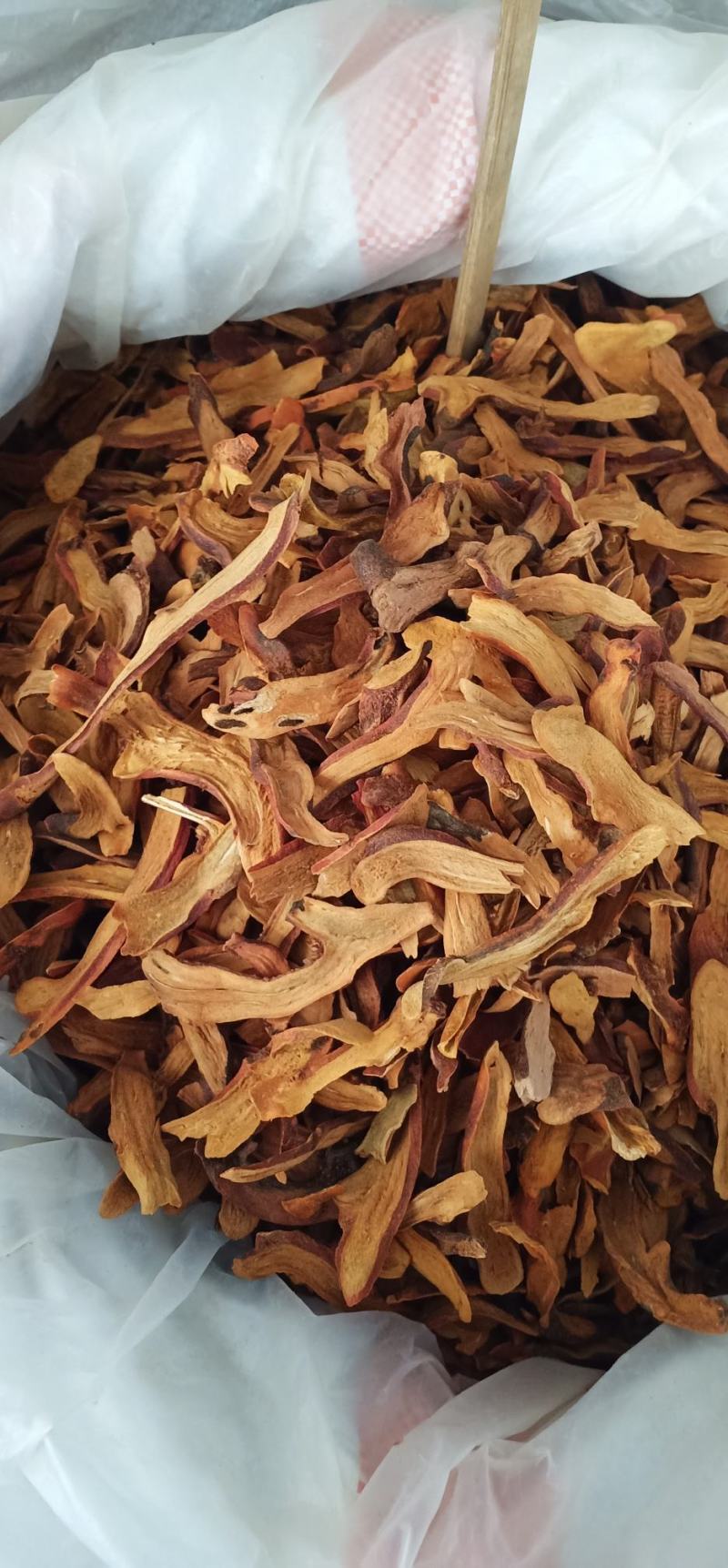 广西玉林骨碎补蕨类植物根茎粗壮一手货源品质保障