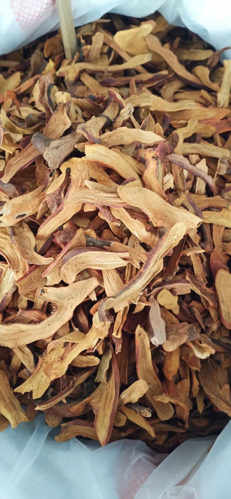 广西玉林骨碎补蕨类植物根茎粗壮一手货源品质保障