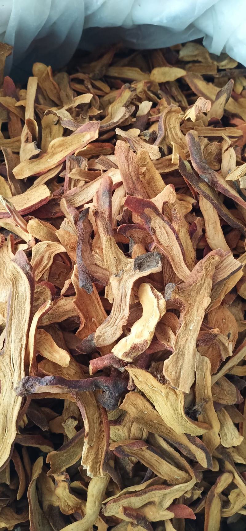 广西玉林骨碎补蕨类植物根茎粗壮一手货源品质保障
