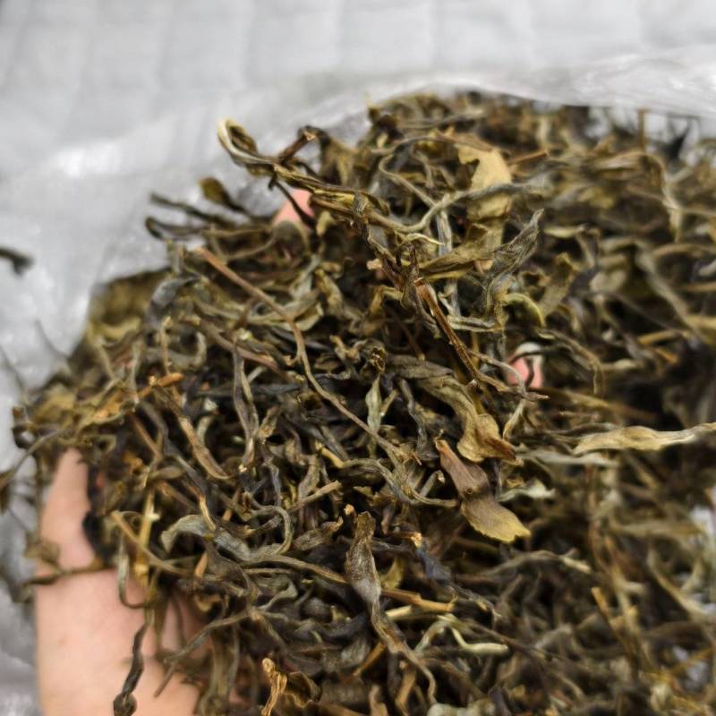 玛玉茶，蚂蚁茶，新茶