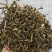 玛玉茶，蚂蚁茶，新茶