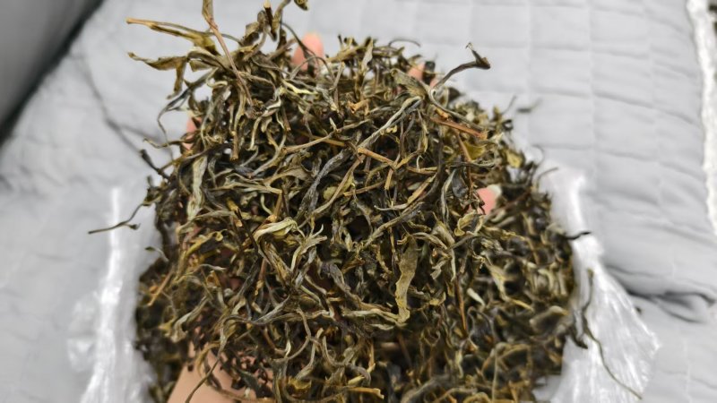玛玉茶，蚂蚁茶，新茶