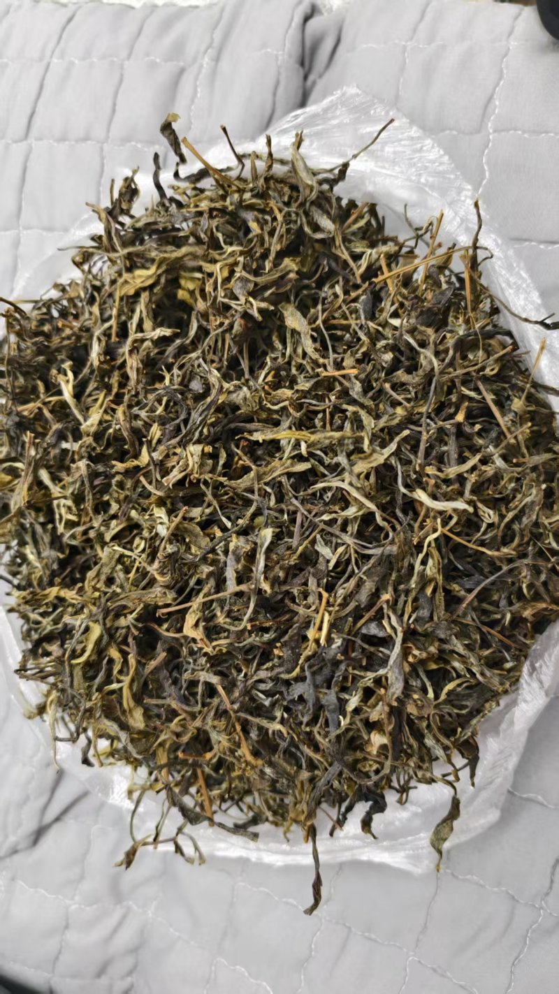玛玉茶，蚂蚁茶，新茶