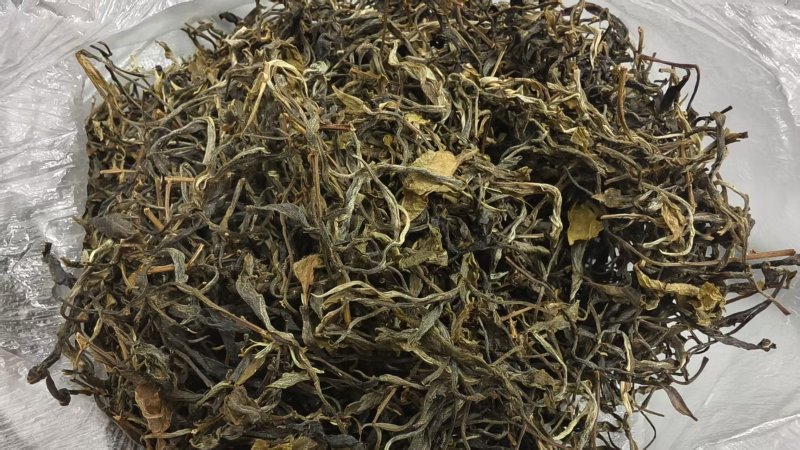 玛玉茶，蚂蚁茶，新茶