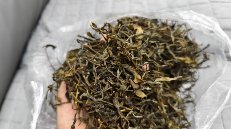玛玉茶，蚂蚁茶，新茶